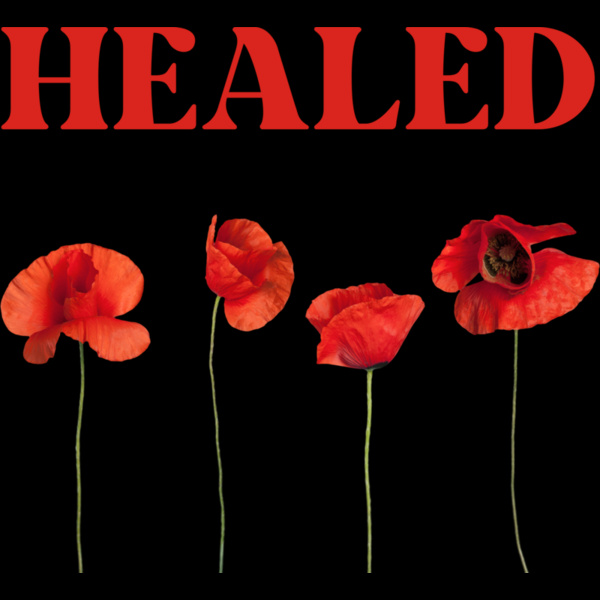 healed better MnE0x2FS Thumbnail